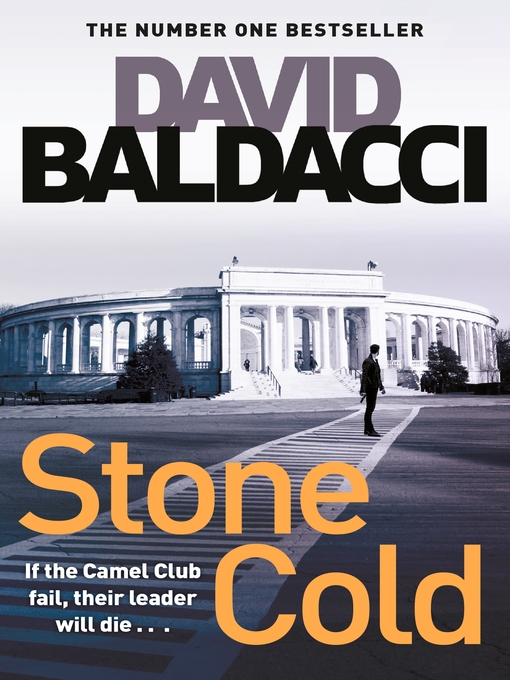 Title details for Stone Cold by David Baldacci - Wait list